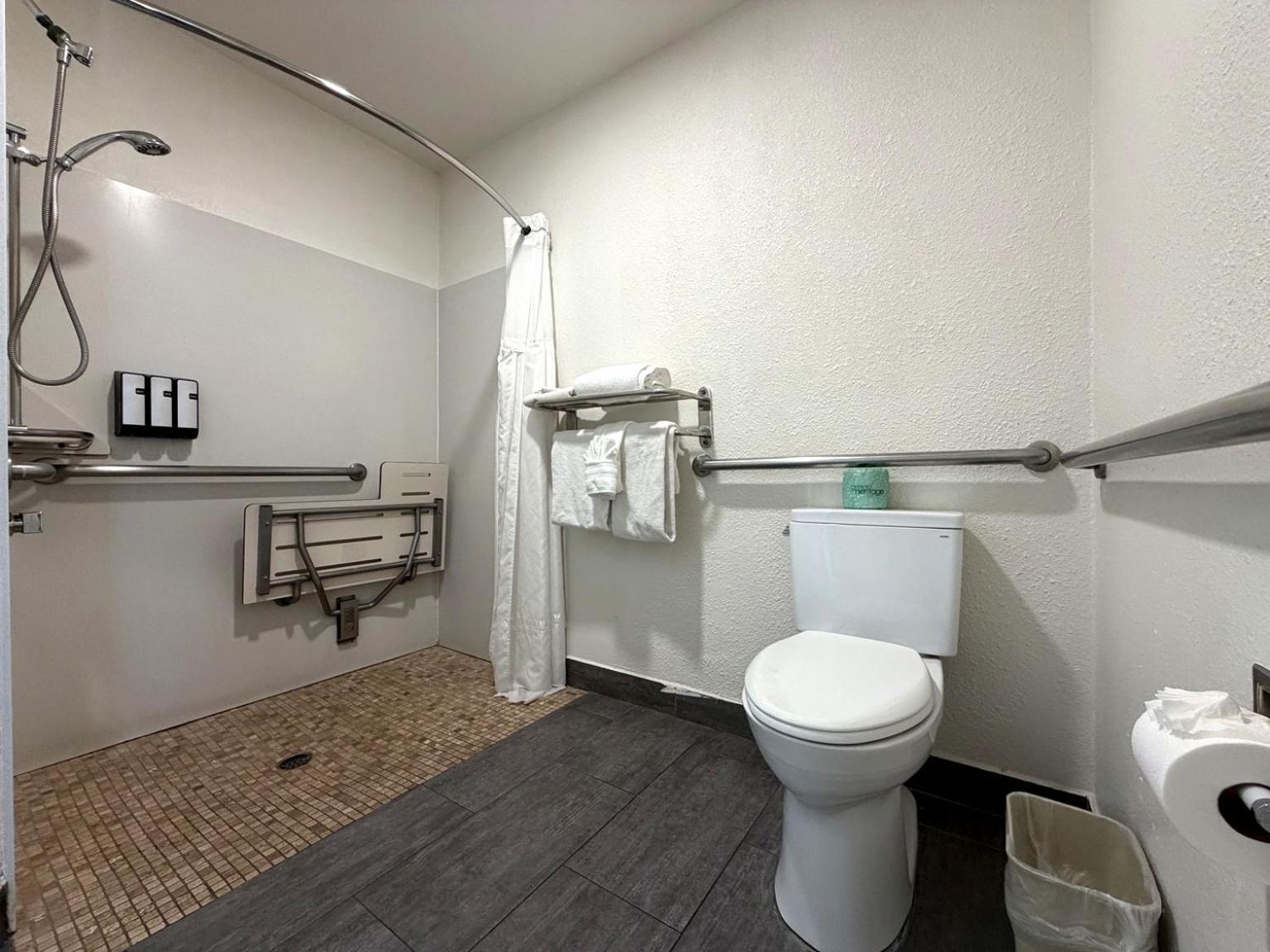 Signature King Room Accessible
